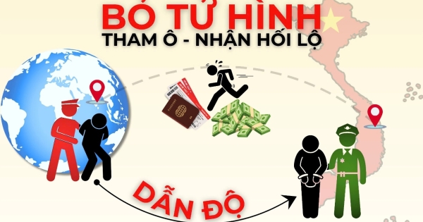 Ảnh minh họa.