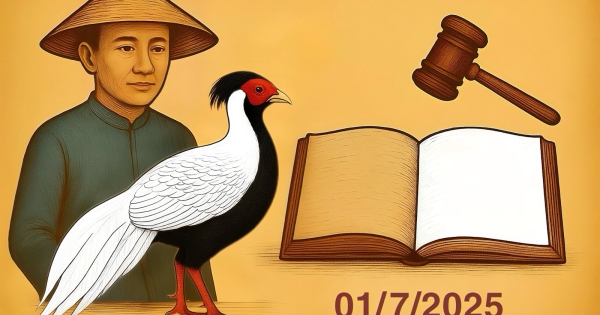 Ảnh minh họa.